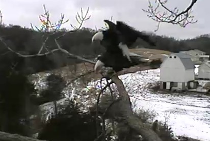 ScreenHunter_45 Feb. 21 11.21.jpg